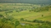 Autoritățile anunță că reiau subvenționarea agricultorilor