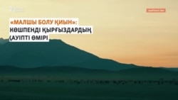 "Бейнеті көп кәсіп". Қырғыз шопандарының ауыр еңбегі
