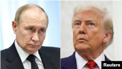 Доналд Трамп (рост) ва Владимир Путин (чап)