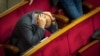 Ідею дострокових виборів зараз підтримує майже половина українців – соціолог 