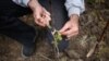 Cine se opune echităţii fiscale în agricultură?
