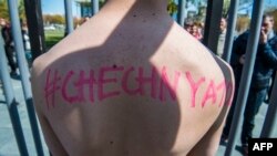 Иллюстрациялык сүрөт. 