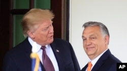 Дональд Трамп и премьер-министр Венгрии Виктор Орбан, архивное фото