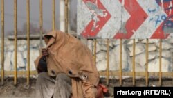 ارشیف، انځور تزئیني بڼه لري.
