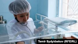 Иллюстрациялык сүрөт.