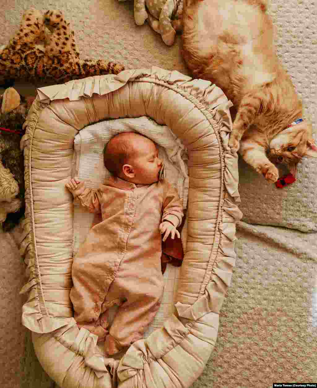 Nora Cristescu într-o imagine realizată de mama sa, fotograf profesionist. Motanul familiei este model profesionist.&nbsp;&nbsp;
