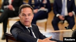 NATO baş kâtibi Mark Rutte