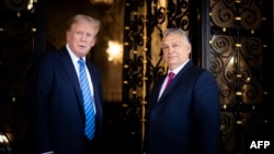 Дональд Трамп і Віктор Орбан у маєтку Трампа у Флориді, США, 11 липня 2024 року