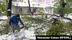 Cu mic, cu mare la curăţat crengi şi zăpadă