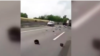 La locul accidentului din Ungaria